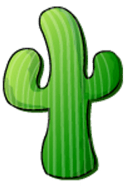 Cacti