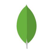 MongoDB Cloud Manager